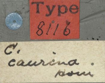 Media type: image;   Entomology 8116 Aspect: labels